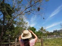 Observação de Aves na Fazenda Nova em Mococa