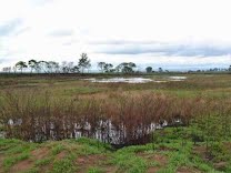 Lagoas do saibreiro poderão ser aterradas com resíduos sólidos 