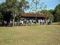 Evento “Conhecendo a Floresta” dá início às comemorações da semana da árvore