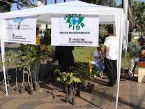 Semana do Meio Ambiente teve gincana e distribuição de mudas de árvores nativas