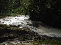 Parque Estadual de Porto Ferreira: relação de trabalhos técnicos e científicos