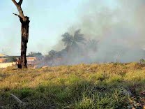 Fiscalização de Posturas/Ambiental faz alerta