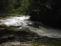 50 anos de criação do Parque Estadual de Porto Ferreira