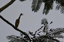 Parque Estadual de Porto Ferreira comemora seus 50 anos 