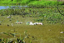 Enchente também revela que rio  Mogi Guaçu necessita de cuidados