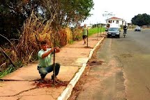 Em comemoração ao Dia da Árvore, Divisão de Meio Ambiente faz o plantio de 160 mudas