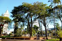 Divisão de Meio Ambiente faz Feira da Barganha e plantio de mudas na Semana da Árvore