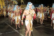 Ferreirense participa do Carnaval de São Paulo