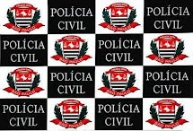 Lei Maria da Penha: homem de 27 anos é preso pela Polícia Civil em Porto Ferreira