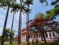 II Feira da Sustentabilidade tem entrada gratuita e mais de 50 atividades 