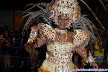 Carna Folia 2015: blocos desfilam debaixo de chuva pela Av. Eng. Nicolau de Vergueiro Forjaz