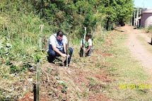 Meio Ambiente planta mudas de árvores nativas em área de preservação permanente na Vila Salgueiro