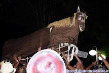 Broco do Burro abriu o carnaval de rua de Porto Ferreira atraindo muitos foliões