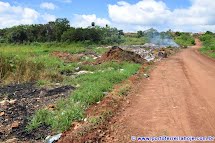 Epidemia de dengue e crise da água não despertam a consciência ambiental