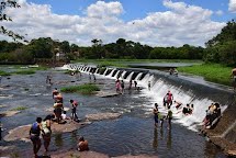 Datas ambientais do mês de Dezembro