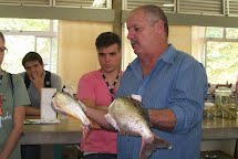 Centro Nacional de Pesquisa e Conservação de Peixes Continentais promoveu curso de capacitação