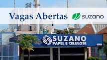 Vagas de emprego: Suzano abre processo seletivo com vagas para recem formados em graduação