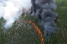  Governo SP anuncioua prisão de dois homens suspeitos de causar intencionamente, incêndios no estado