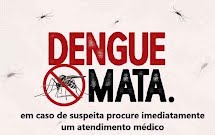 Mortes por dengue superaram óbitos por covid-19 em 2024, aponta Ministério da Saúde