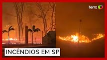 Incêndios param de avançar no estado de SP em especial na região de Ribeirão Preto 