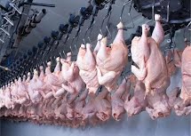 Restrições na exportação de frango pode baratear a carne no mercado brasileiro