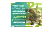 Descalvado: prefeitura lança canal para receber denúncia de abandono e maus-tratos