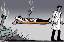 Geopoítica do terror: Israel arrasou áreas agrícolas e residenciais em Gaza, atesta ONG israelense