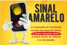 Atenção! Santa Rita do Passa Quatro confirma caso de Febre Amarela em morador e acende sinal alerta